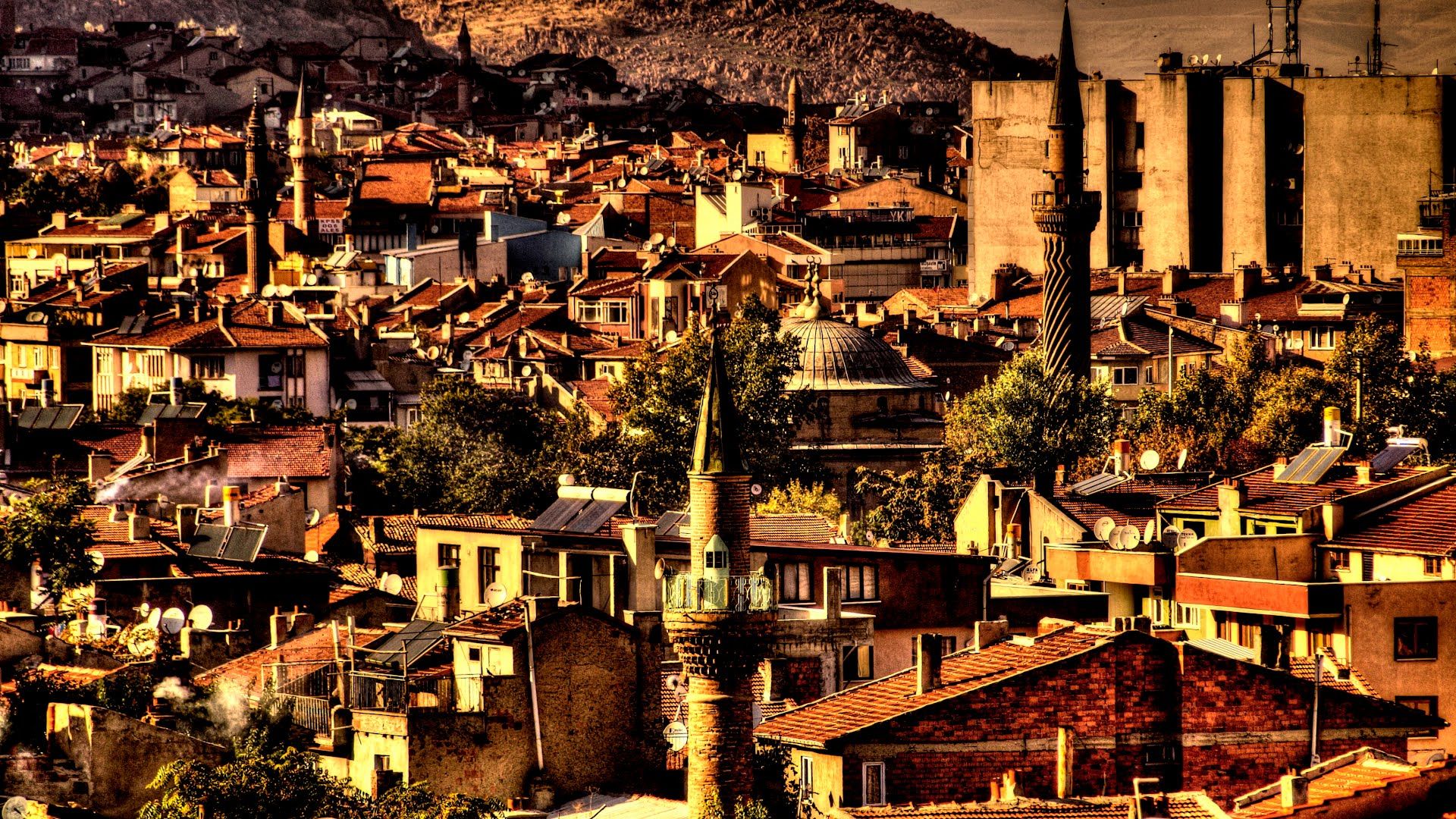 Afyonkarahisar Yumurta Üreticileri Birliği