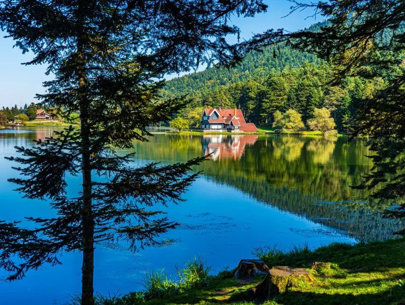 Bolu Yumurta Üreticileri Birliği