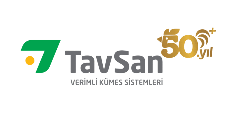 Tavsan